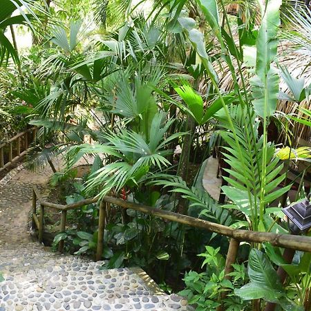 Ecohostal Rio Piedra Zaino Eksteriør billede