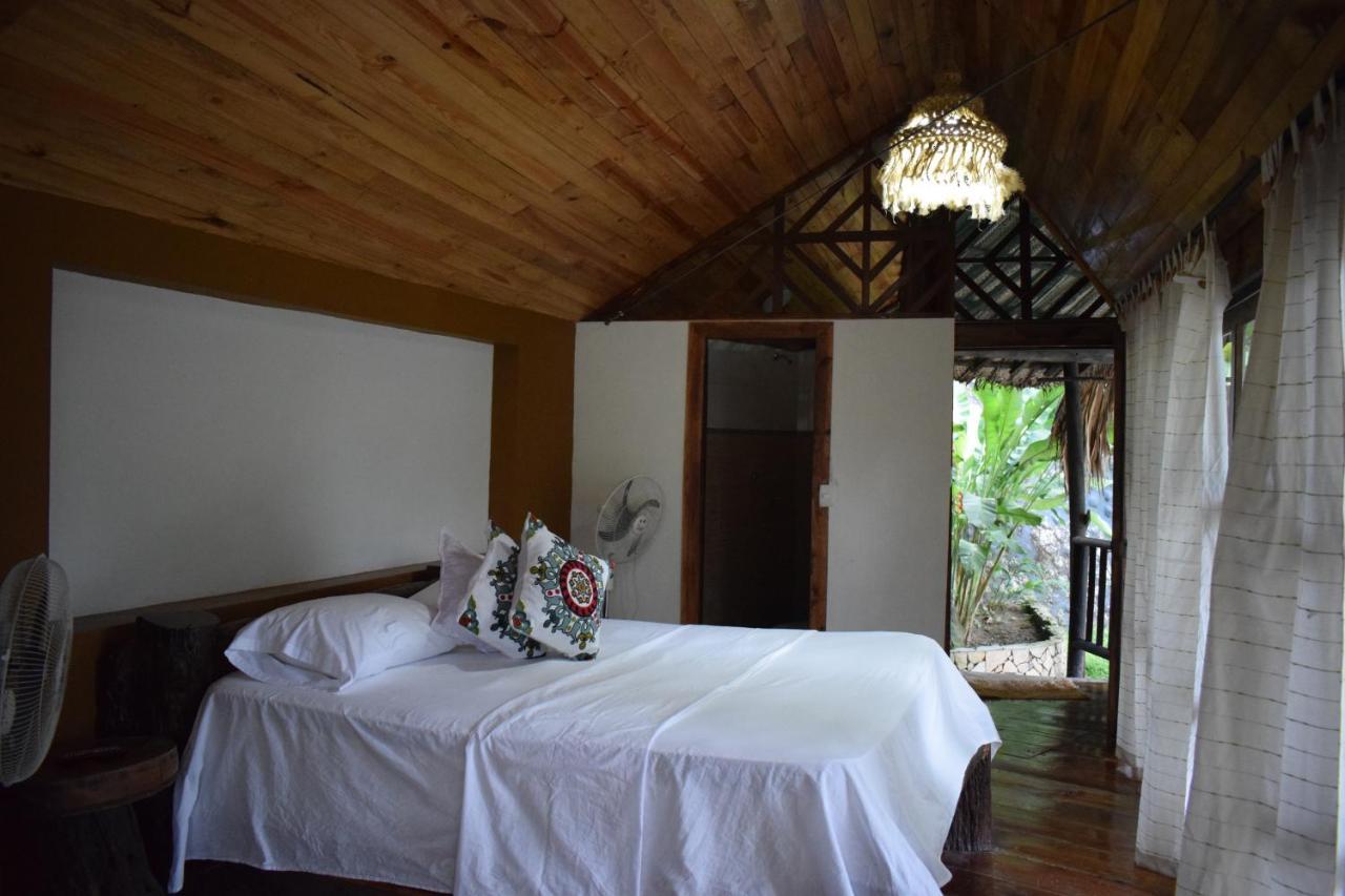 Ecohostal Rio Piedra Zaino Eksteriør billede
