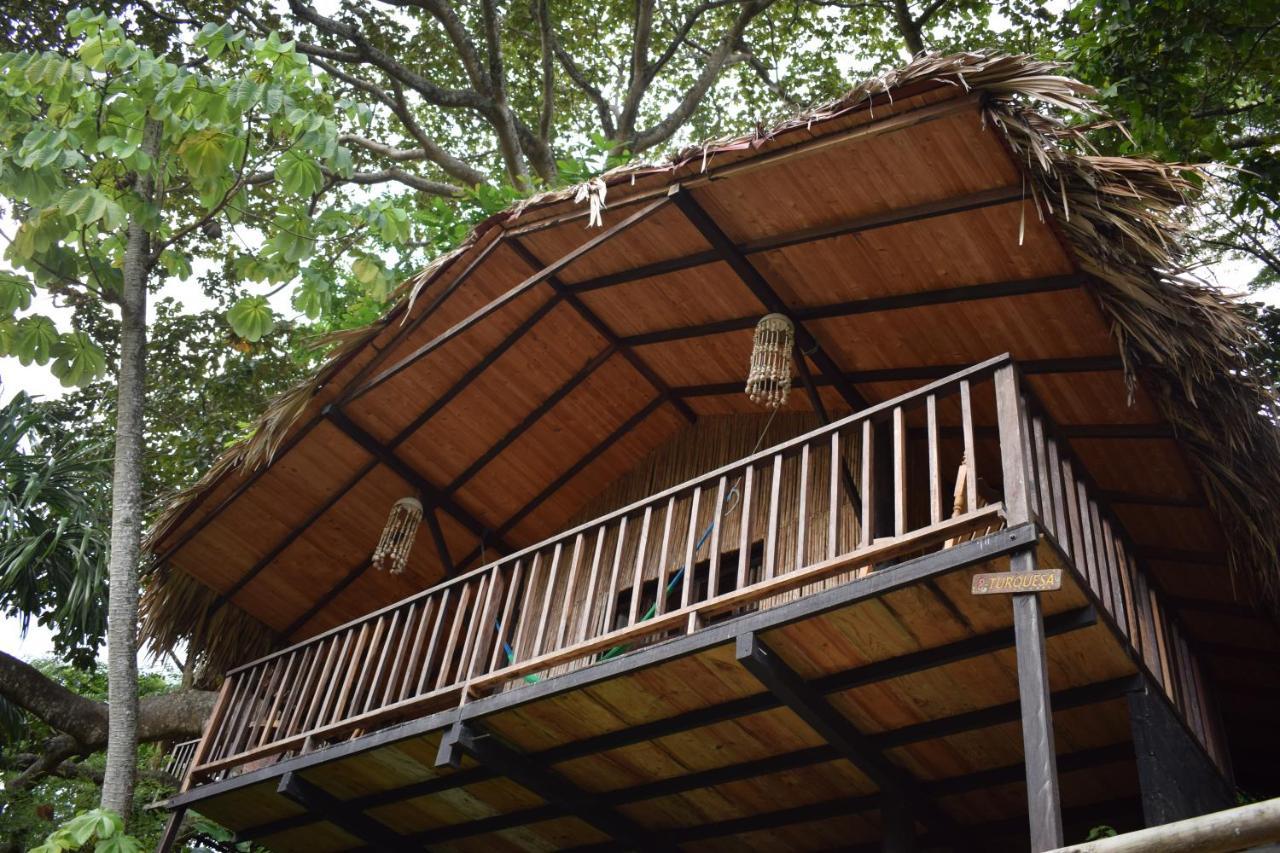 Ecohostal Rio Piedra Zaino Eksteriør billede