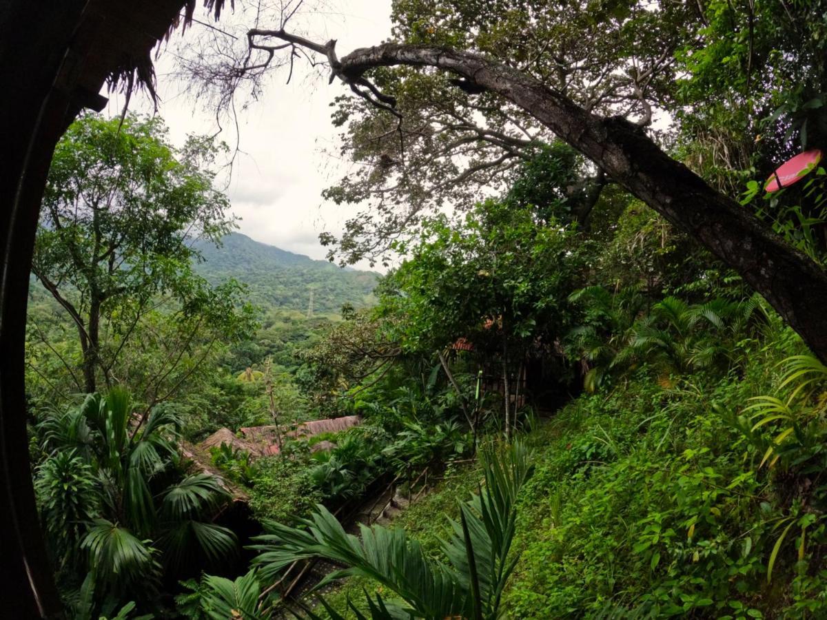 Ecohostal Rio Piedra Zaino Eksteriør billede