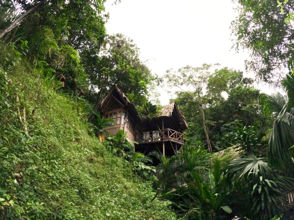 Ecohostal Rio Piedra Zaino Eksteriør billede