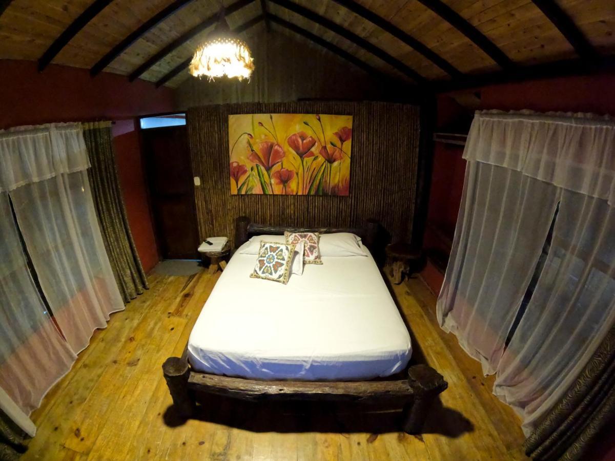Ecohostal Rio Piedra Zaino Eksteriør billede