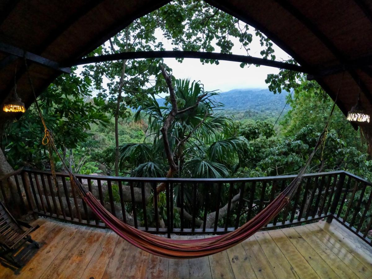 Ecohostal Rio Piedra Zaino Eksteriør billede