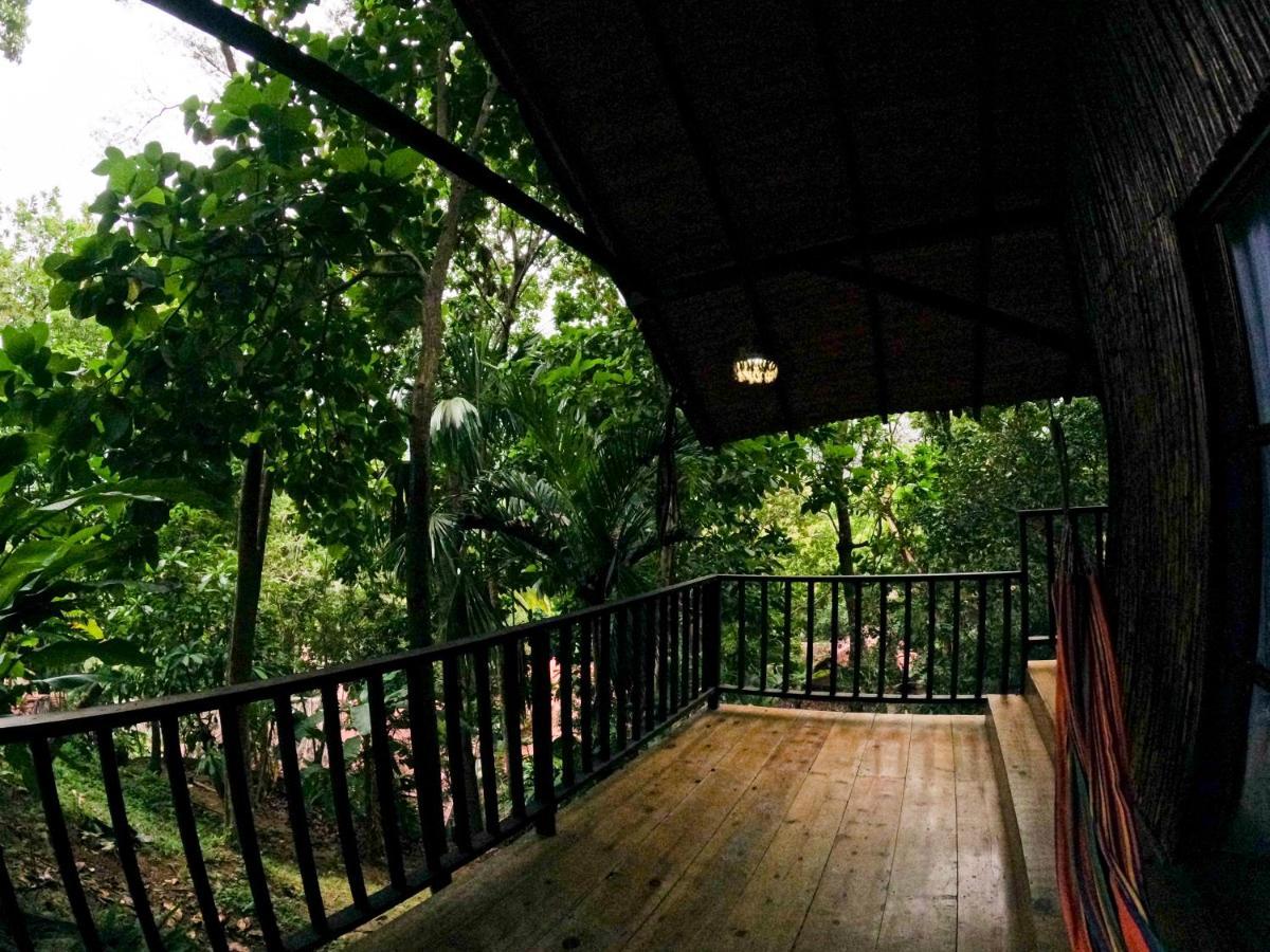 Ecohostal Rio Piedra Zaino Eksteriør billede