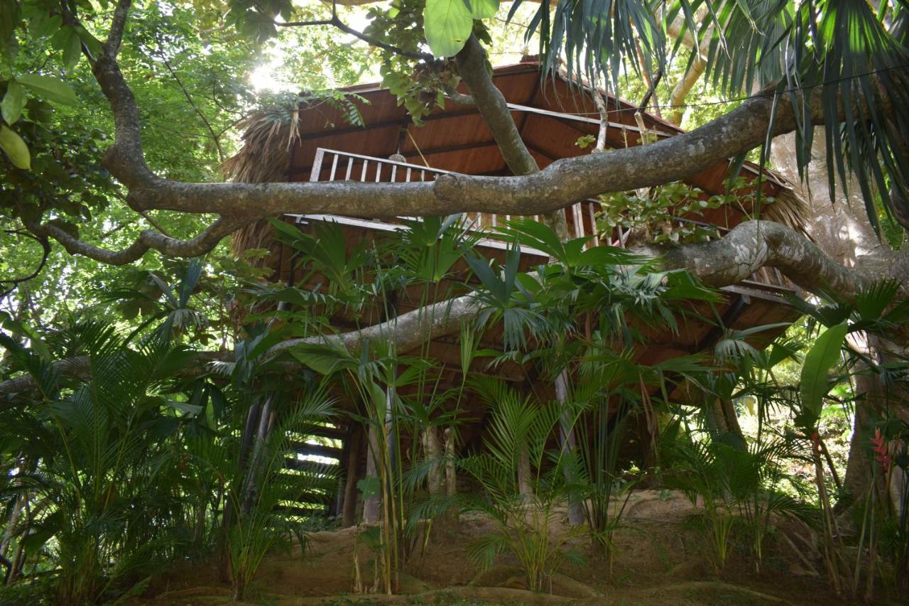 Ecohostal Rio Piedra Zaino Eksteriør billede
