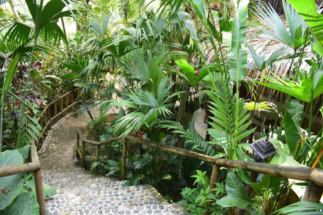 Ecohostal Rio Piedra Zaino Eksteriør billede