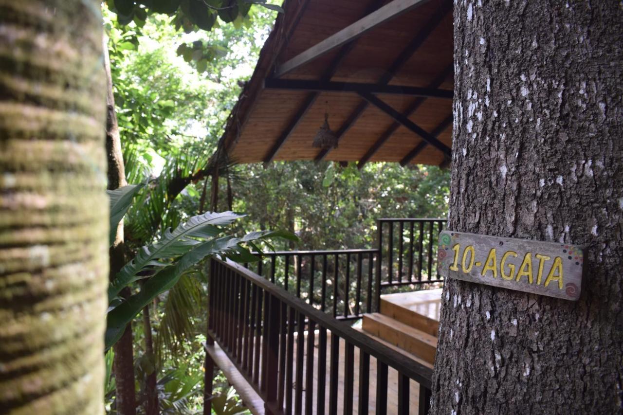 Ecohostal Rio Piedra Zaino Eksteriør billede