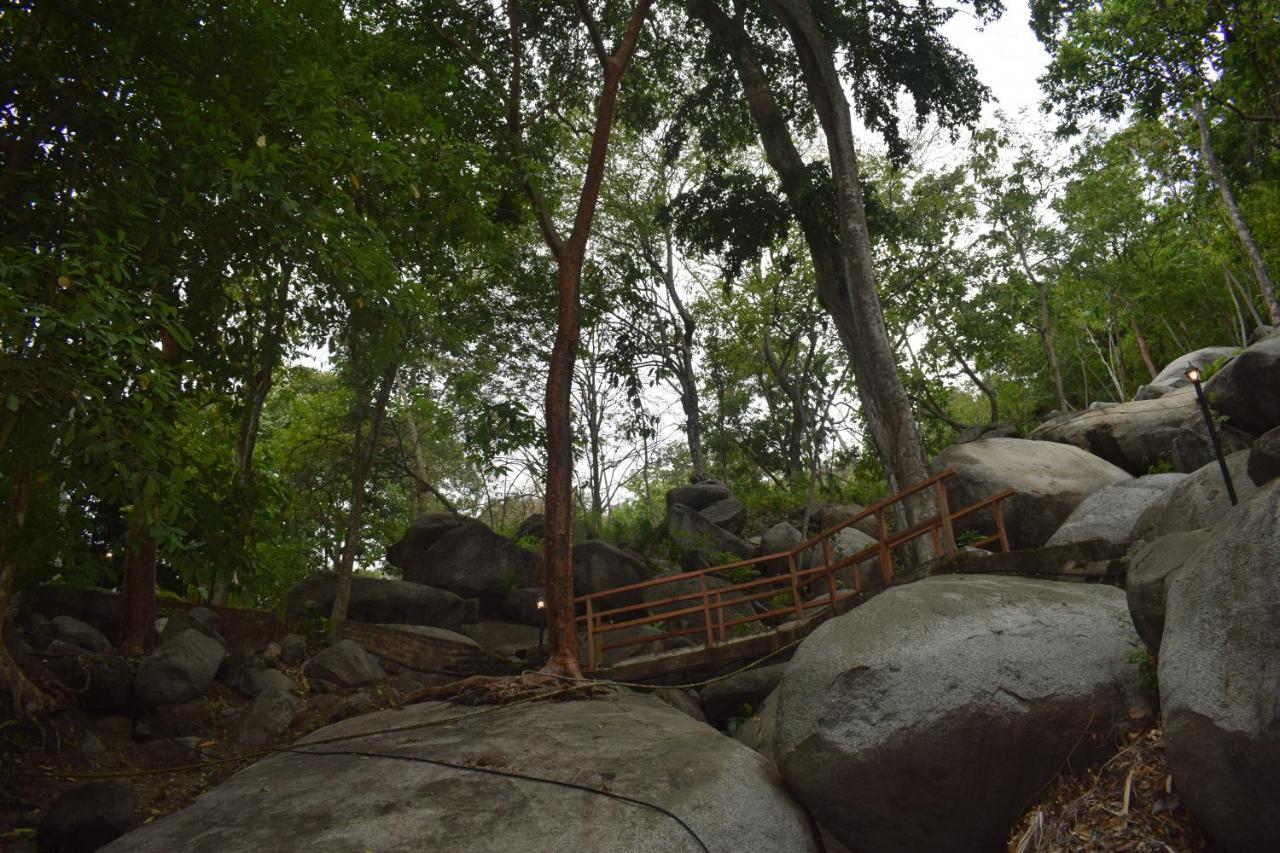 Ecohostal Rio Piedra Zaino Eksteriør billede